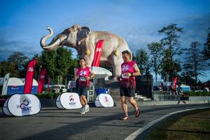 BIB: 
                            <button type="button" onclick="openModal(26541704)" class="btn btn-primary btn-sm float-right btn-popup" data-toggle="modal" data-target=".modal-high-quality">
                        <i class="fas fa-shopping-cart"></i> Add to Cart
                    </button>
                                            <button type="button" onclick="isThisMe(26541704, true)" class="btn btn-success btn-sm float-right btn-popup btn-isme hidden" data-toggle="tooltip" data-placement="bottom" title="นี่คือรูปของคุณใช่ไหม คลิกที่นี่เพื่อเอาเข้าอัลบั้ม">
                        <i class="fas fa-plus"></i> Add to album
                    </button>
                    <button type="button" onclick="isThisMe(26541704, false)" class="btn btn-warning btn-sm float-right btn-popup btn-isnotme hidden">
                        <i class="fas fa-ban"></i> Remove from album
                    </button>